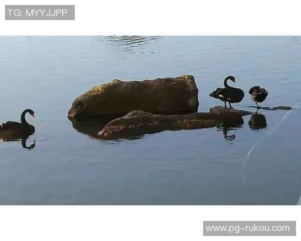 夜醉佳人电子pg-关于夜醉佳人电子PG的游戏世界-夜醉佳人电子pg